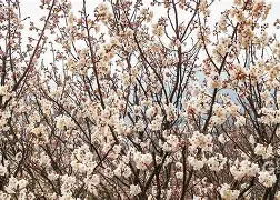 冂opho冂几oc脚恋视频-爱游戏官方网站